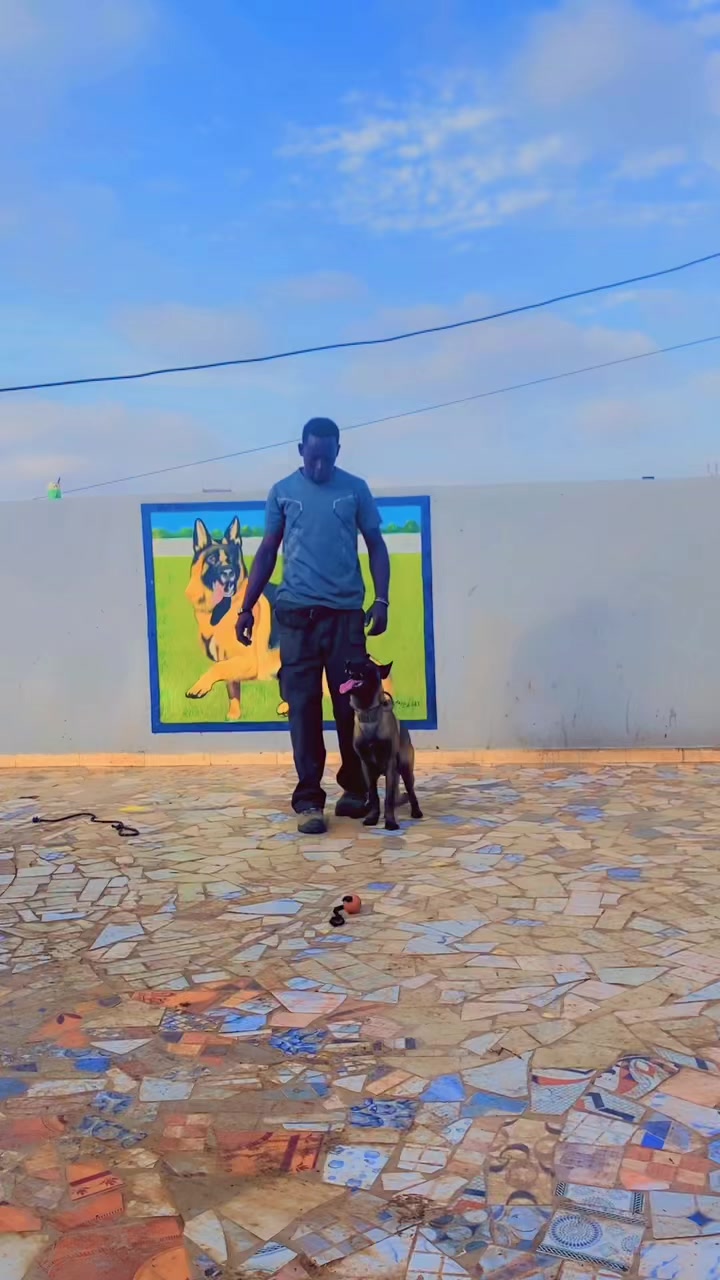 @G.I.C.N 🇸🇳🐾Ma&icirc;tre Weuz🐕&zwj;🦺