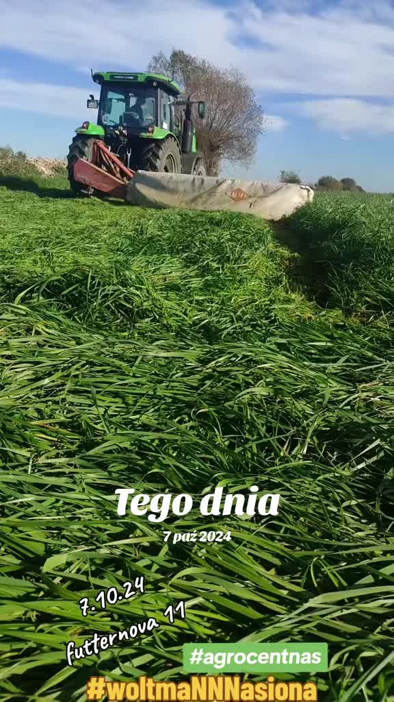 @WOLTMANNNASIONA