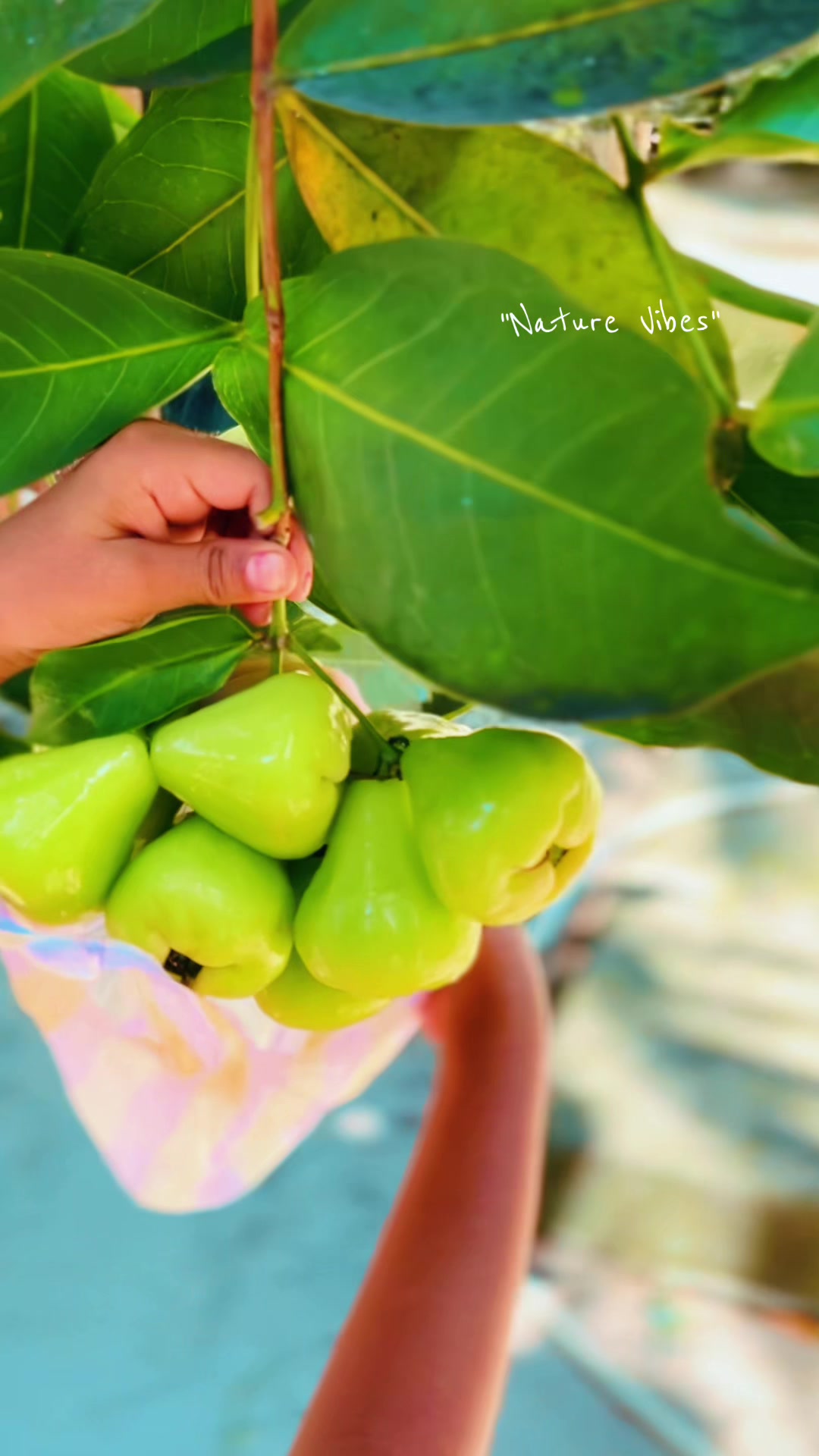 @Thayamohan