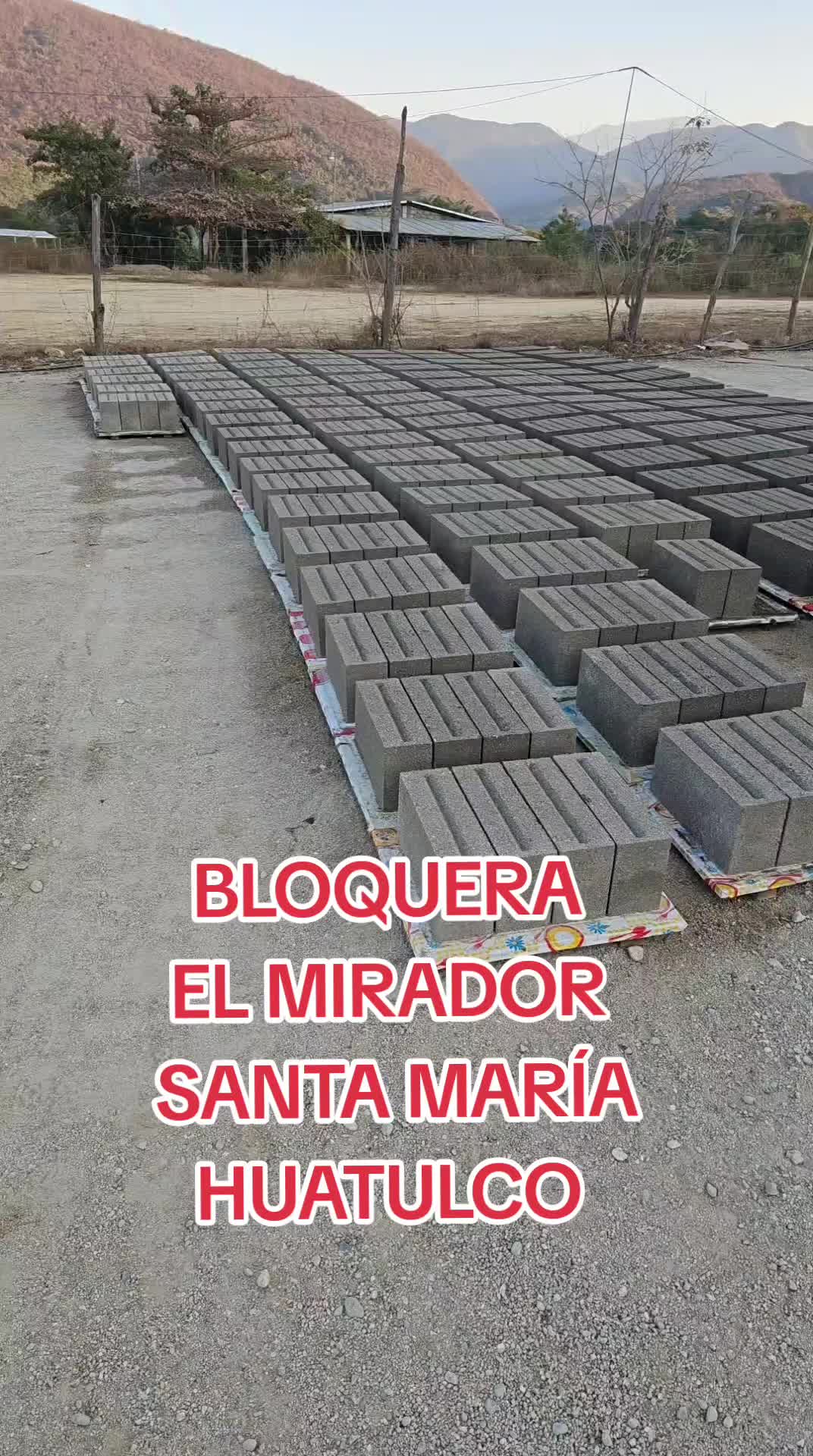 @AMLOVER