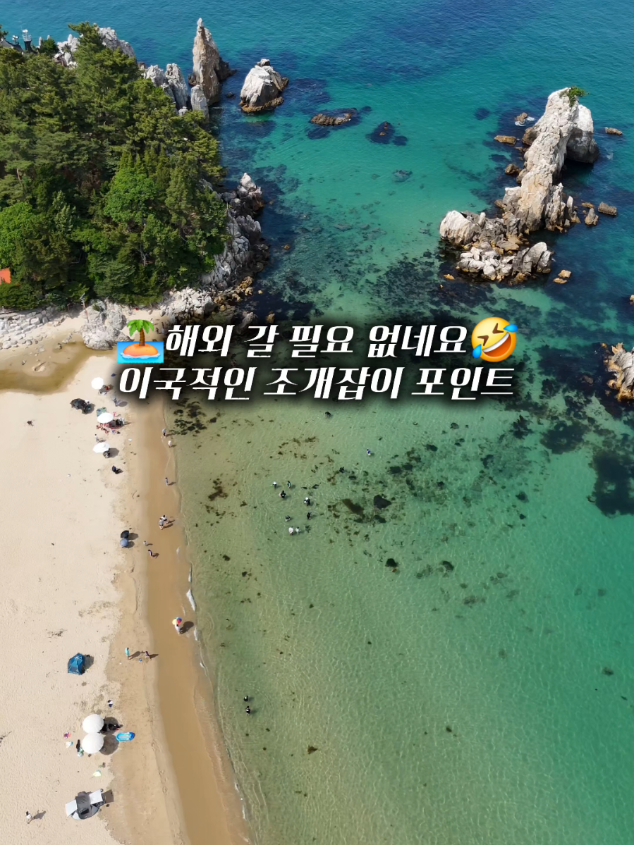 @캠퍼준영