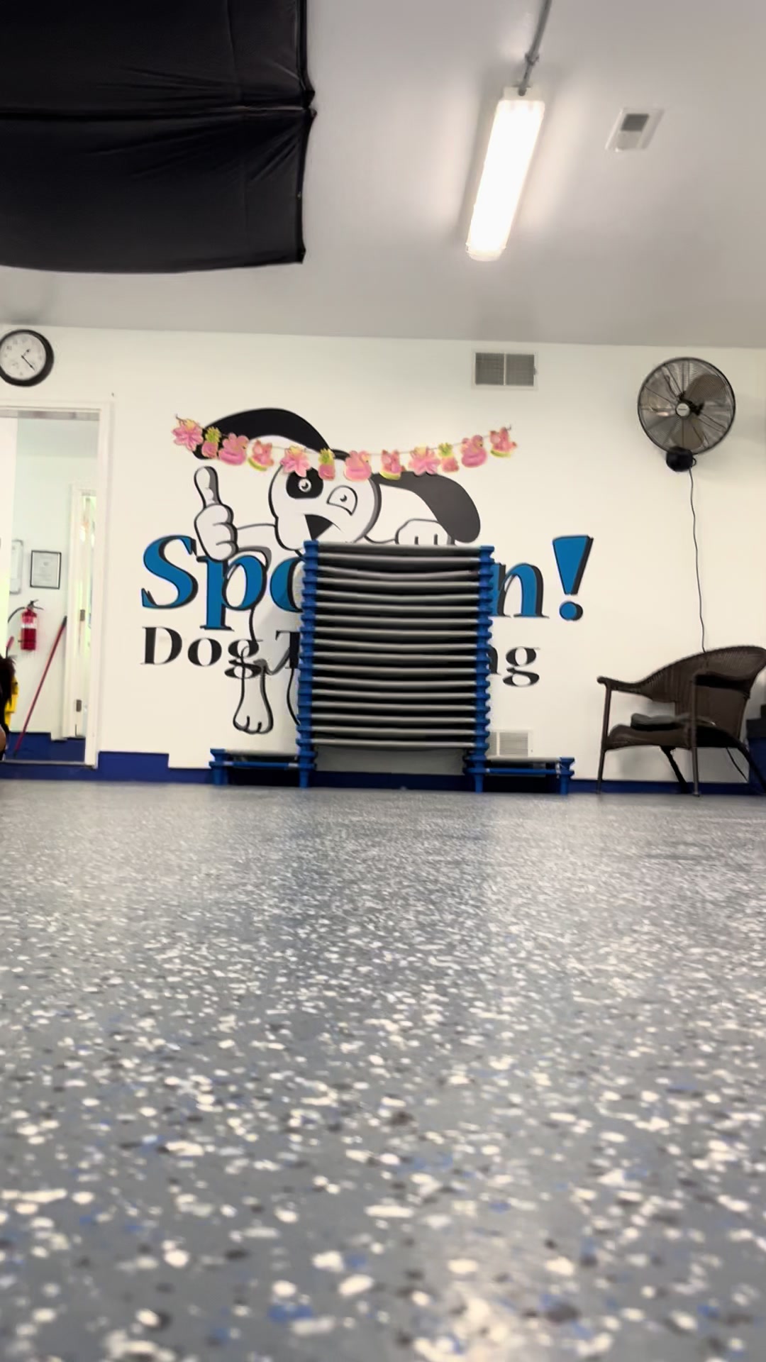 @Jay TheDog Trainer