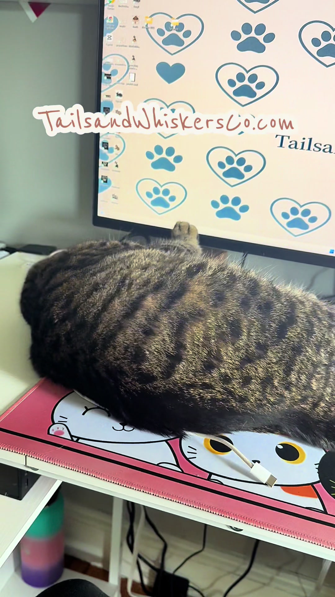 @TailsandWhiskersCo