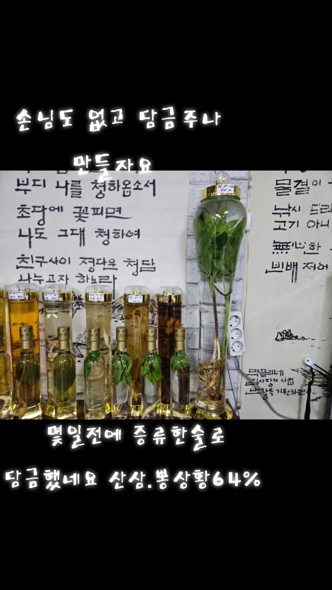 @🦜막끌리네🦜