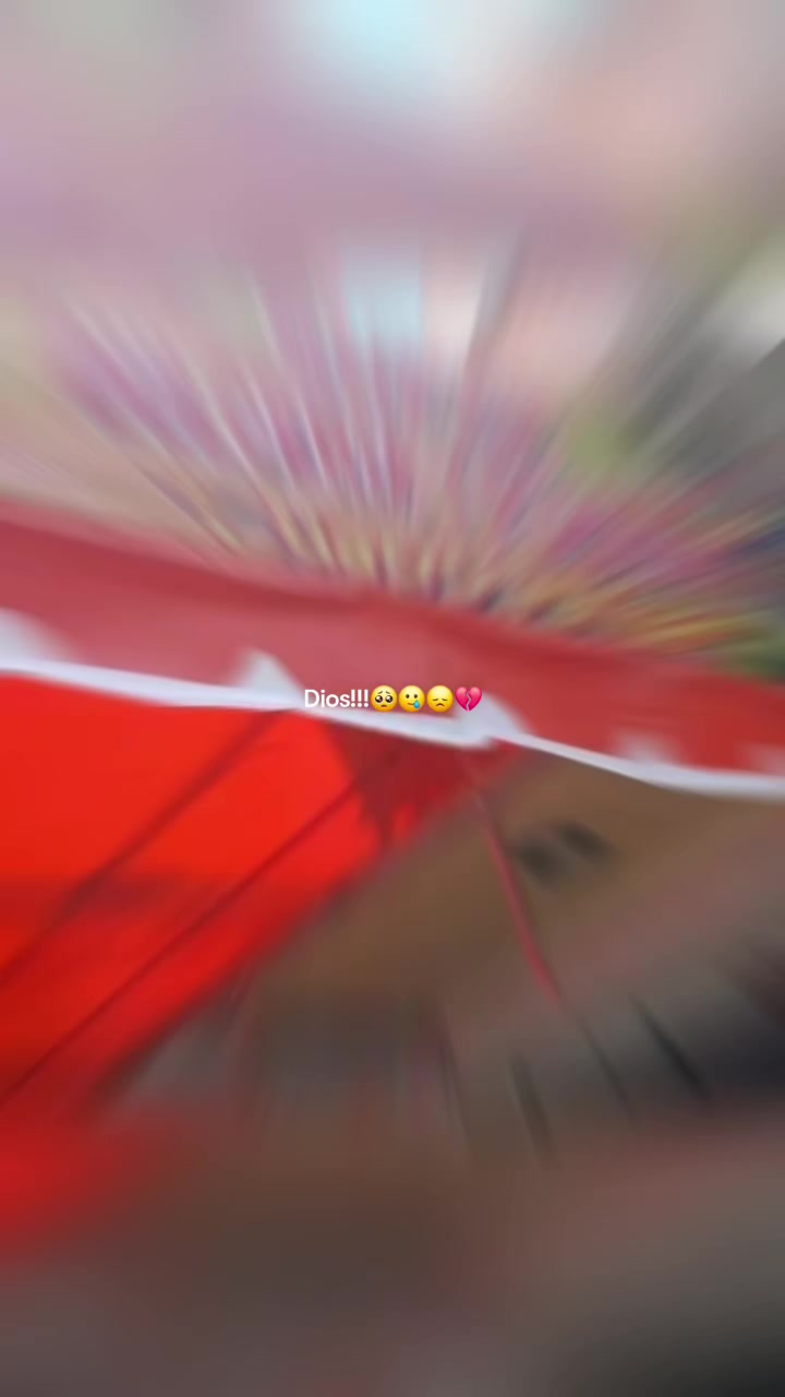 @💛🧡La ni&ntilde;a del PIOLIN 🧡💛