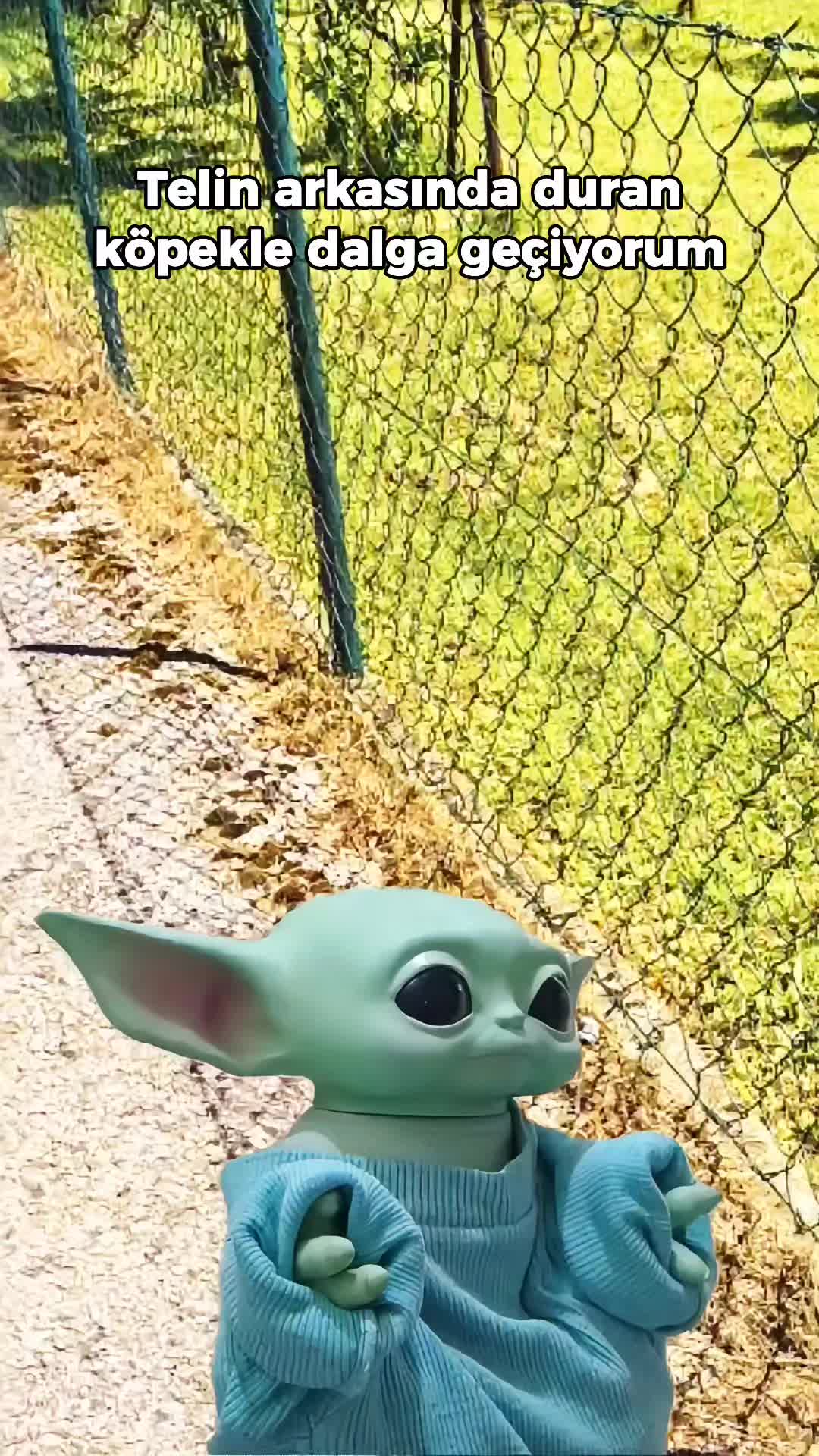 @Bebiş Yoda