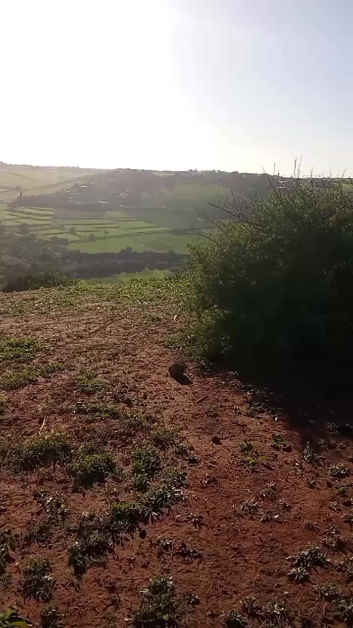 @nature