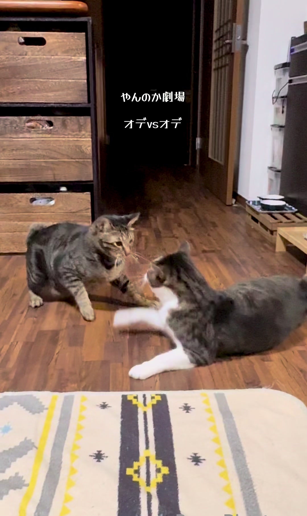 @シチサン