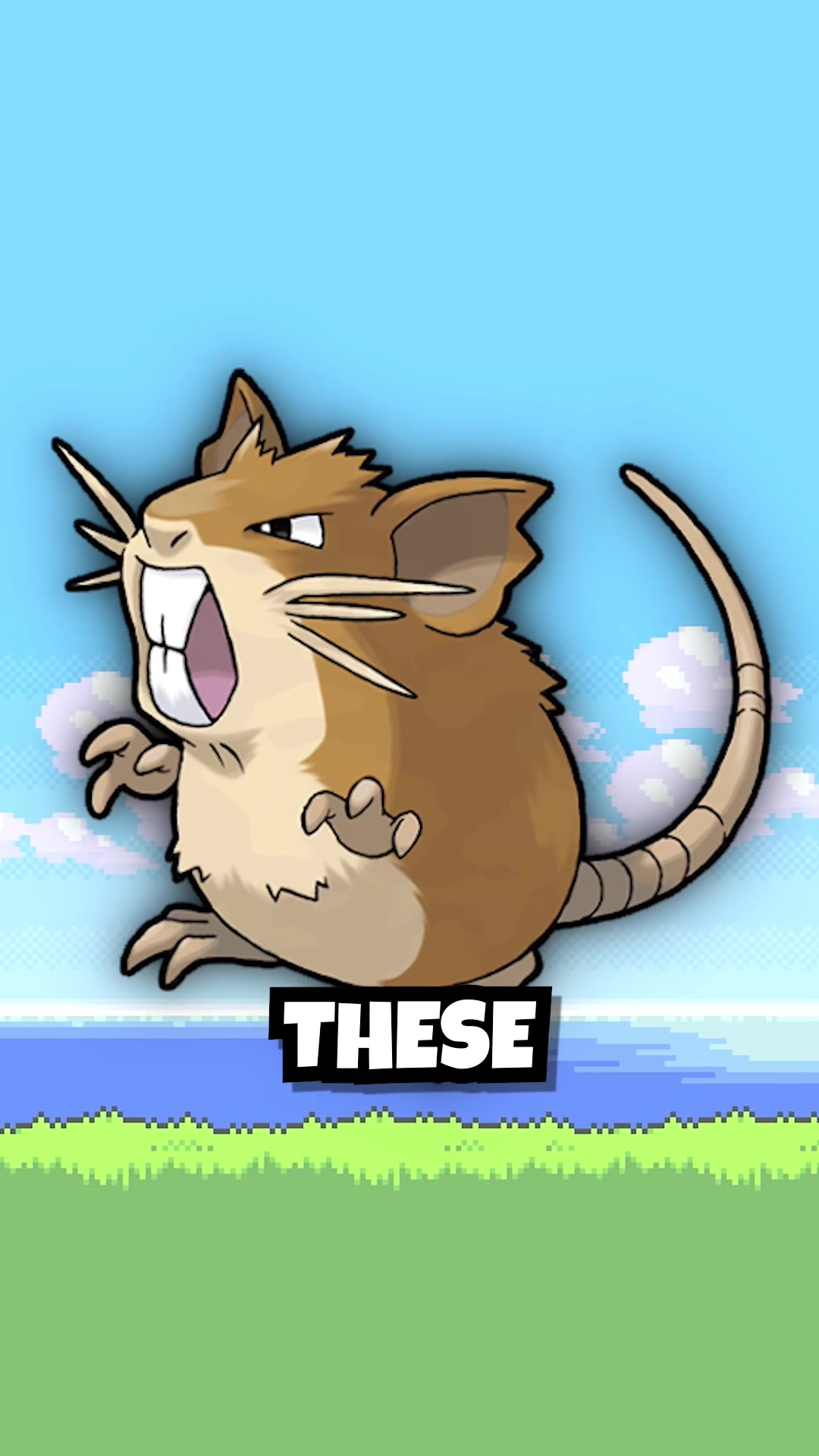 @ThunderZolt