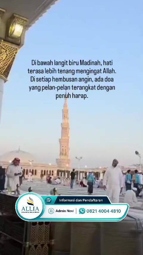 @ALLIA TOUR