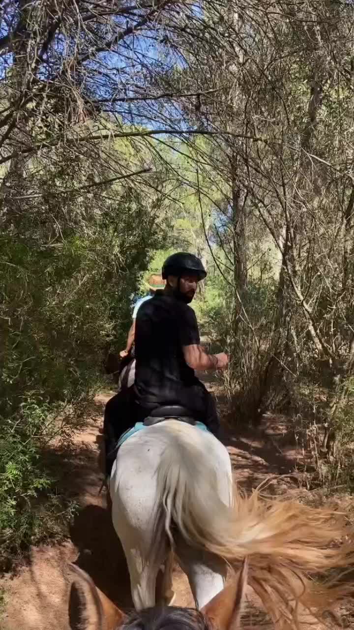 @Shafi Butt