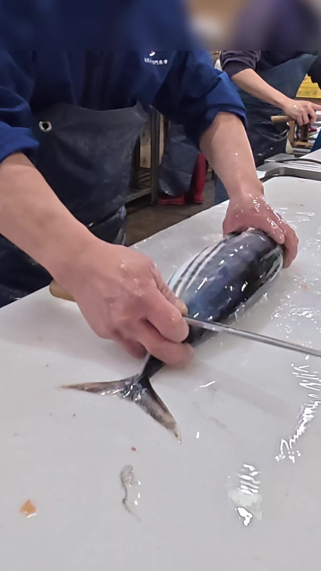 @鳴門魚市のサブ垢