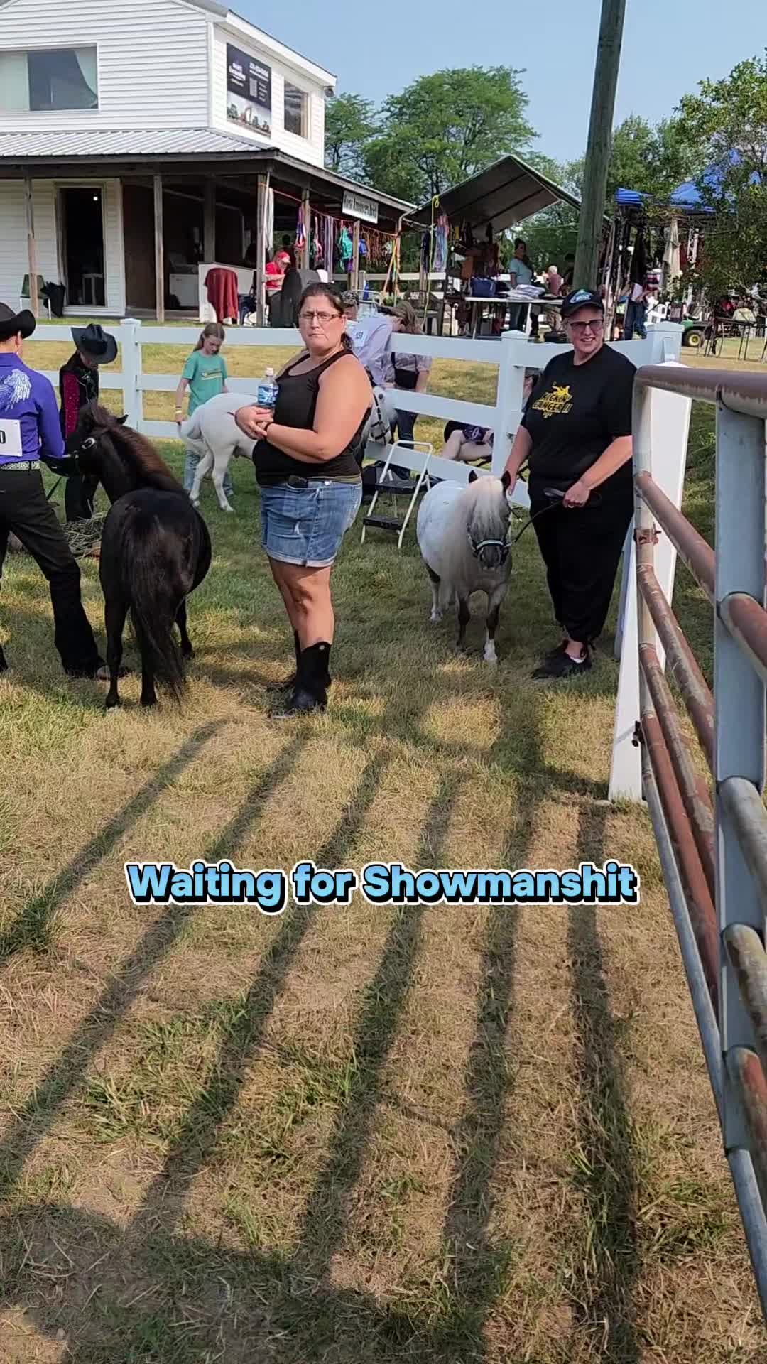 @minihorsemomandtrainer🐴🐴🐴🐴
