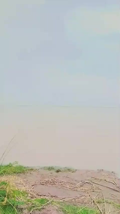 @shakir786