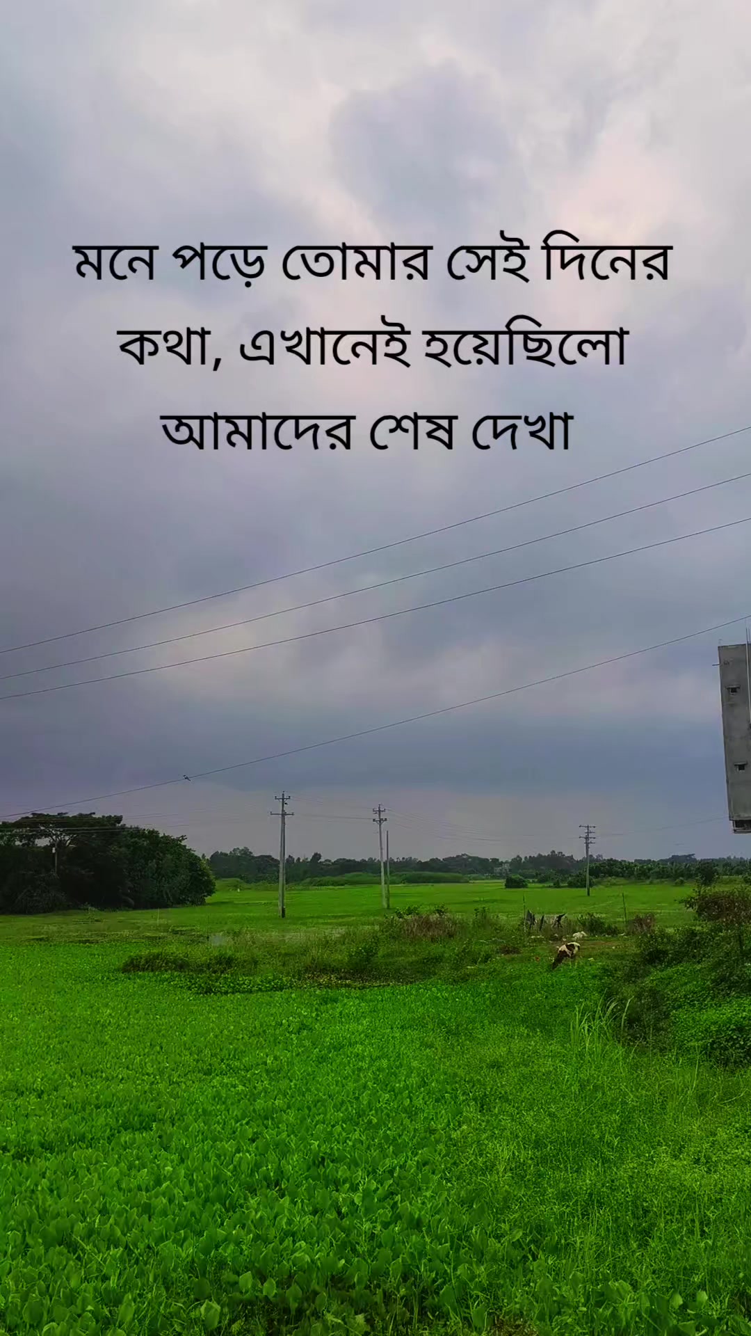@MARUF