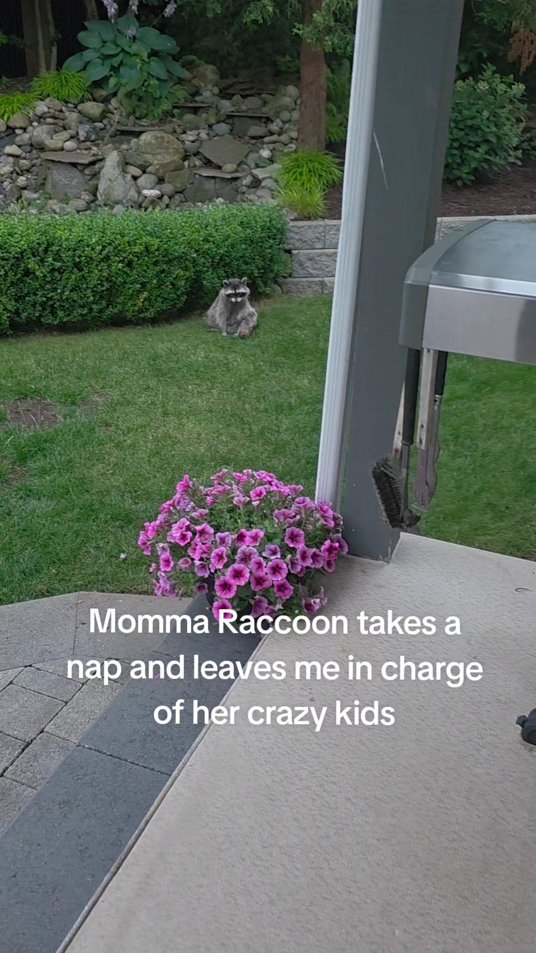 @Raccoon Drive Thru