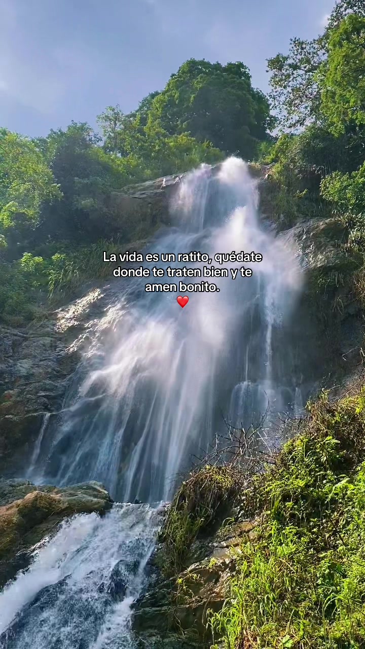 @hell.mz20