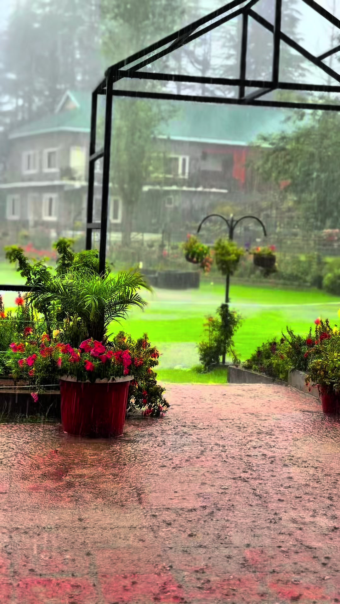 @Shogran Vibes