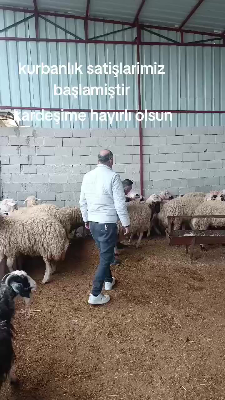@ŞİRKET