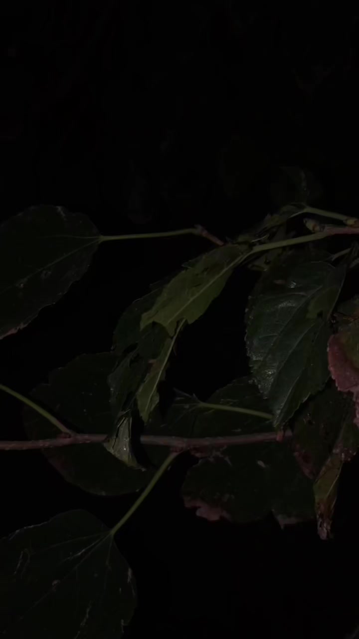 @𝑬 𝑴 𝑨 𝑵 ♥️
