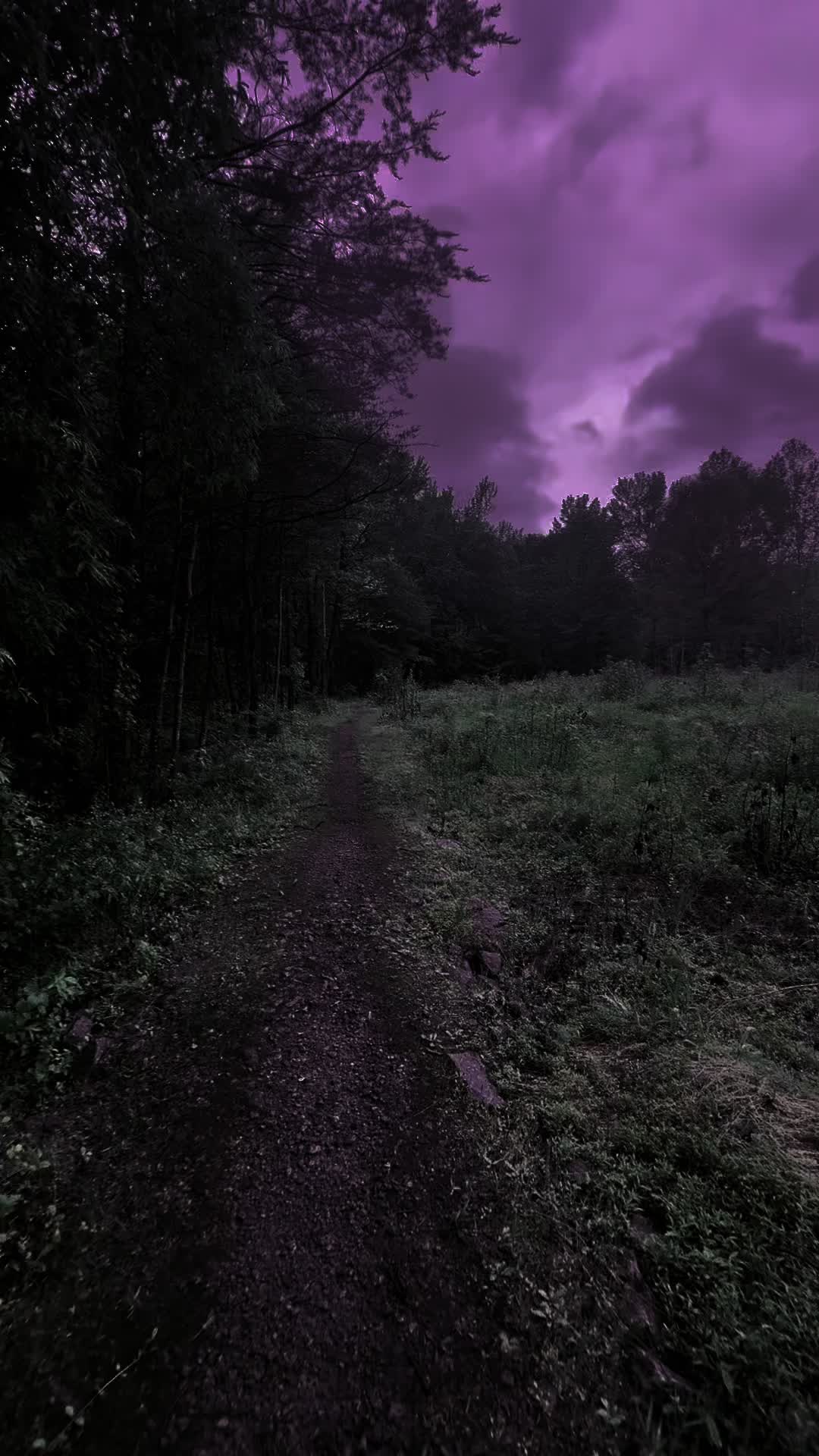 @DarkSpaces