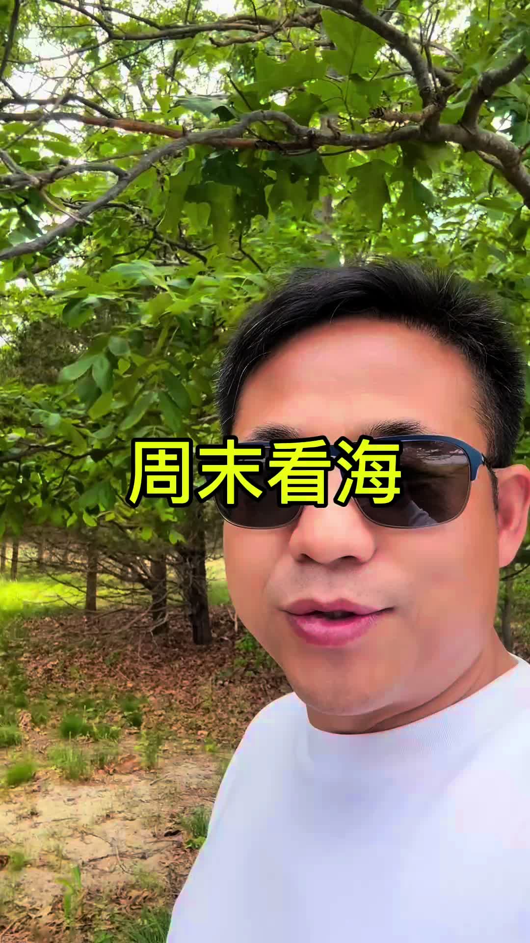 @王探长