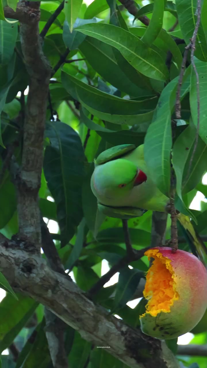 @JAMSITH KMJ🍎🍎
