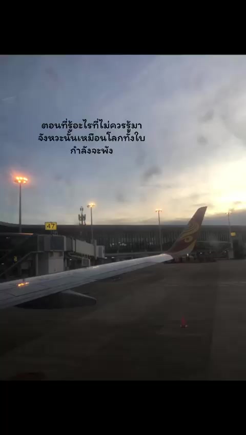 @小白