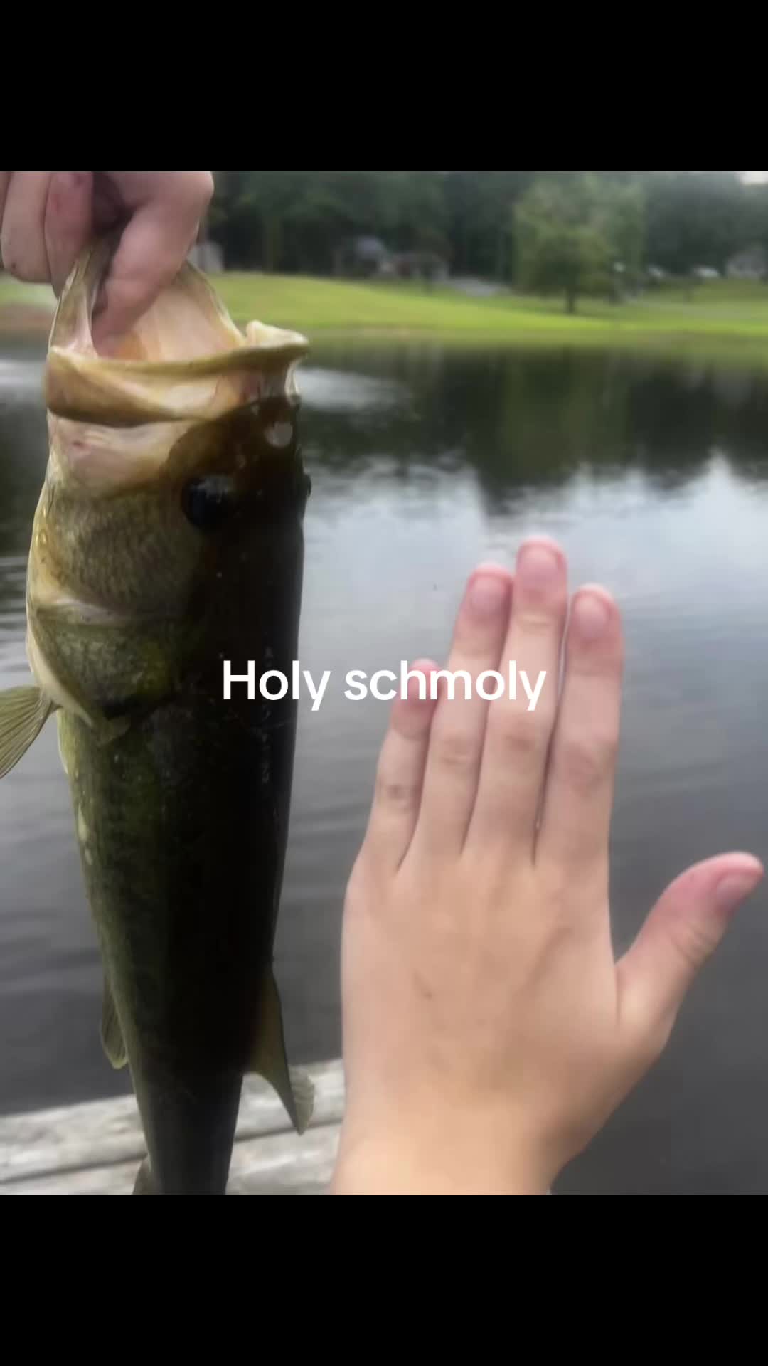 @Arthurmorgansrealwife