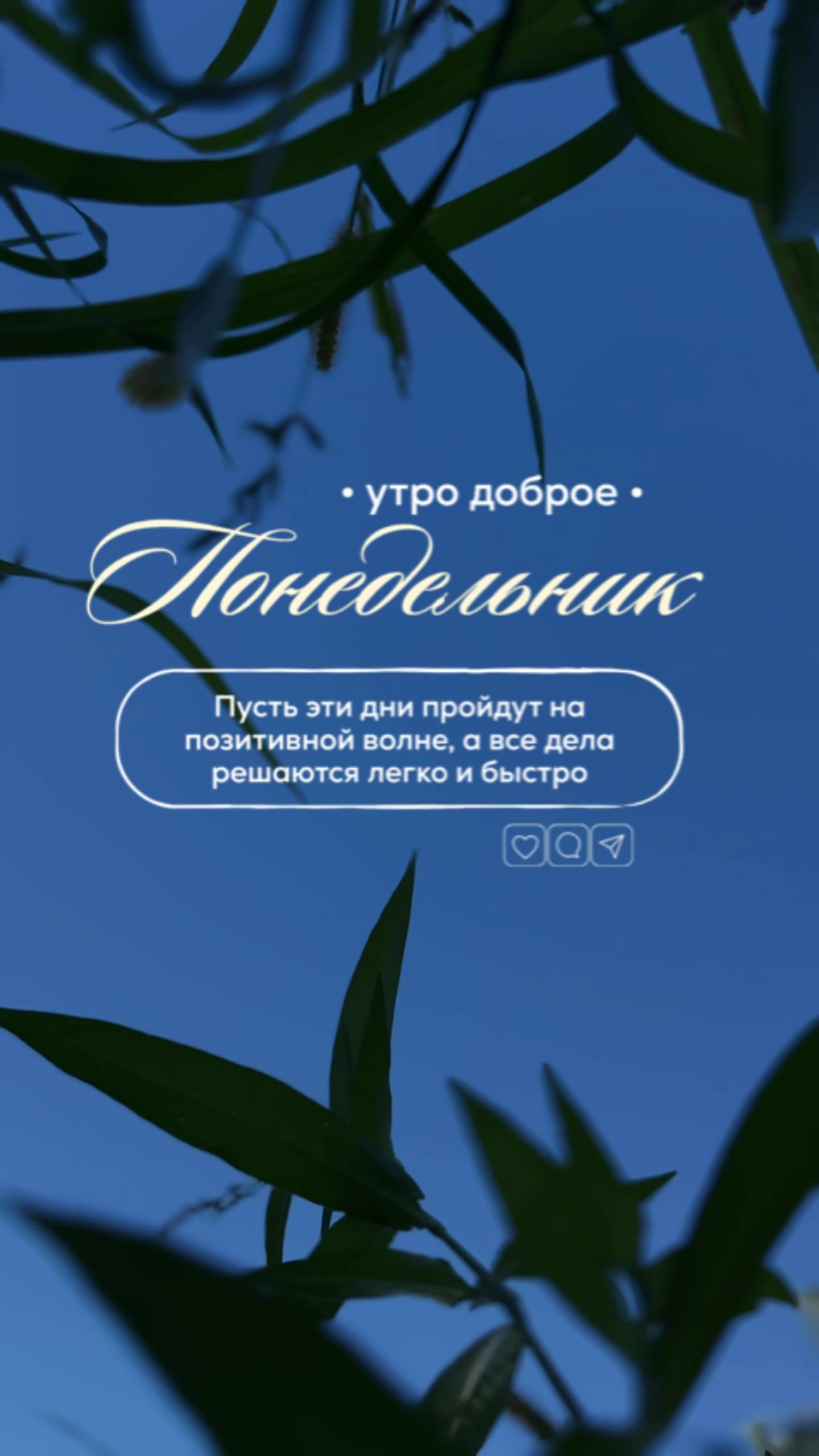 @Vera