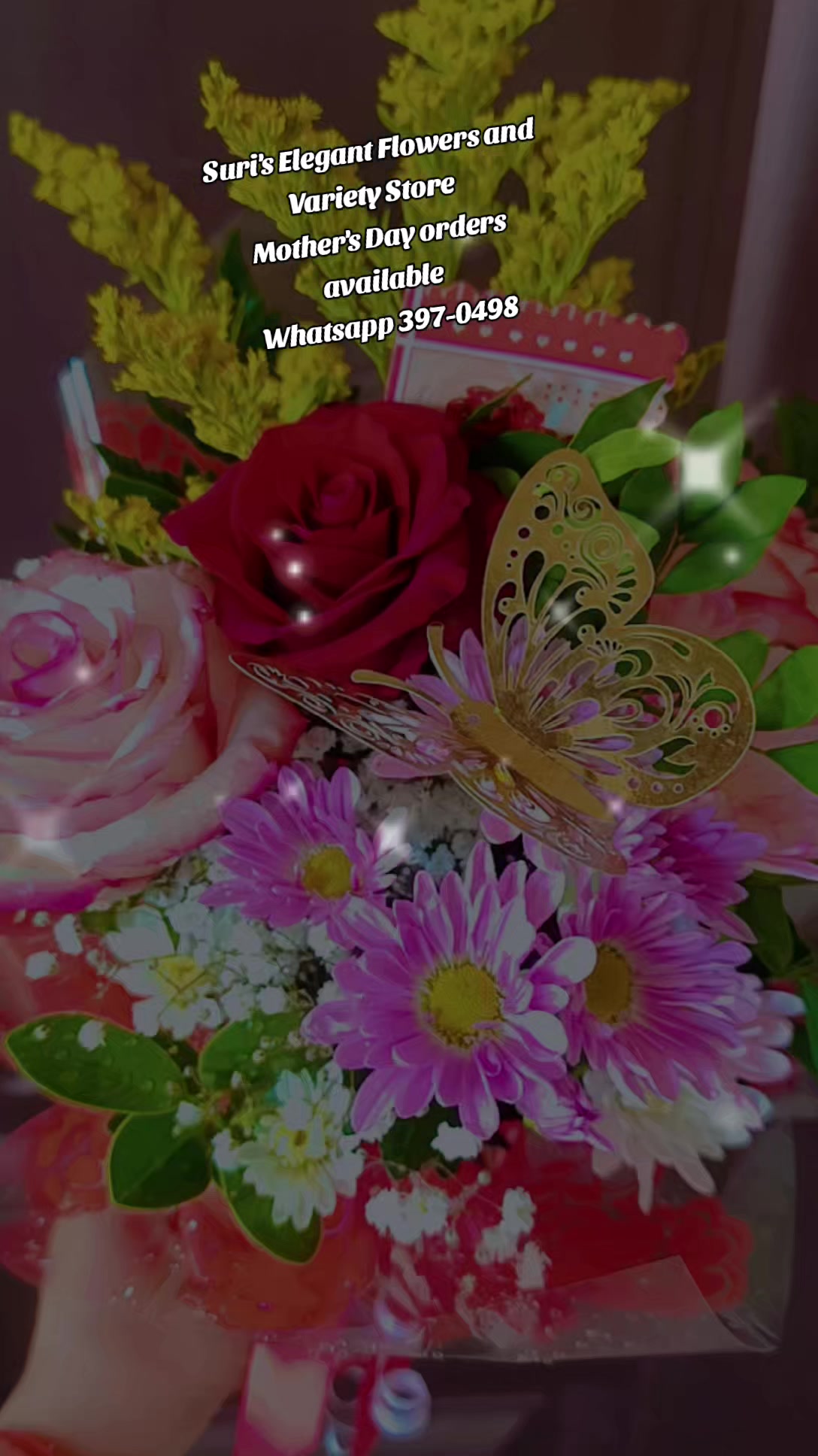 @Aries_Suri007
