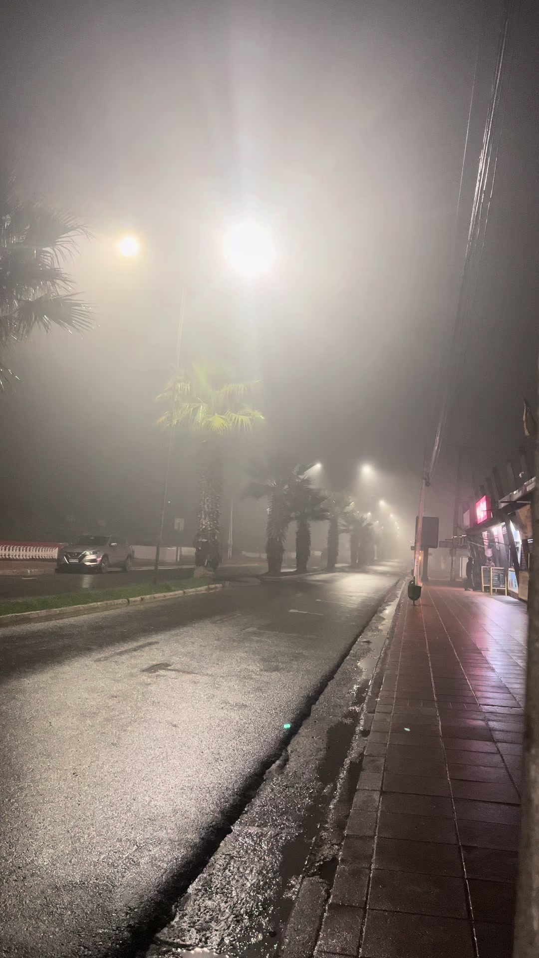 @Kisbe Andrade🤩
