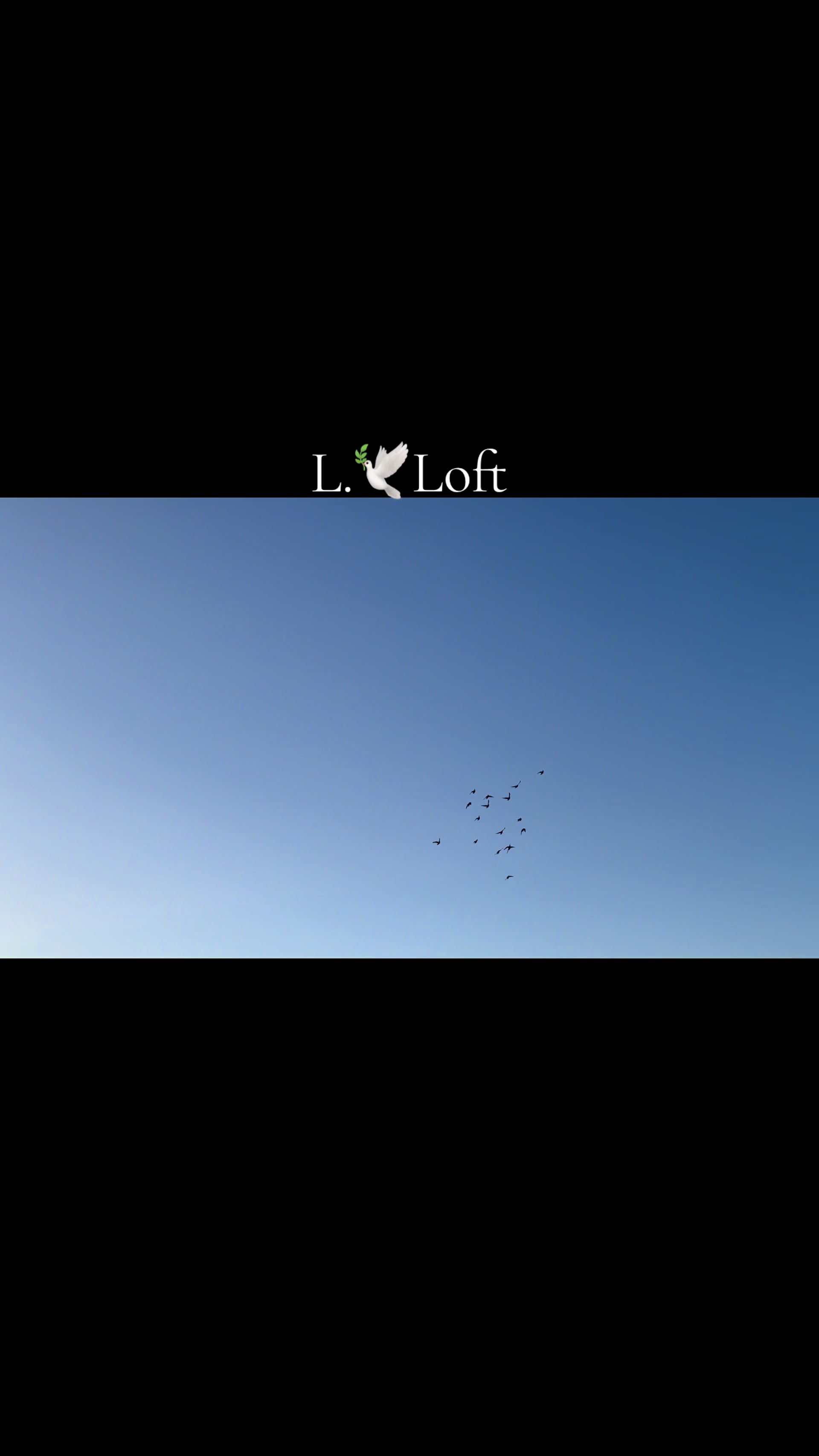 @🕊️L.R .Loft.Q.z.Meer&rsquo;s.Loft🦅