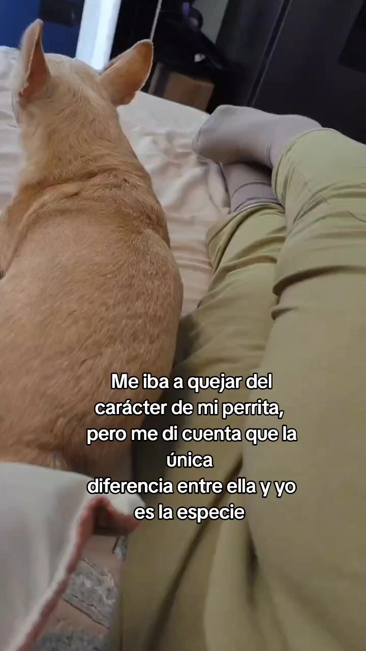@Dani Mindset