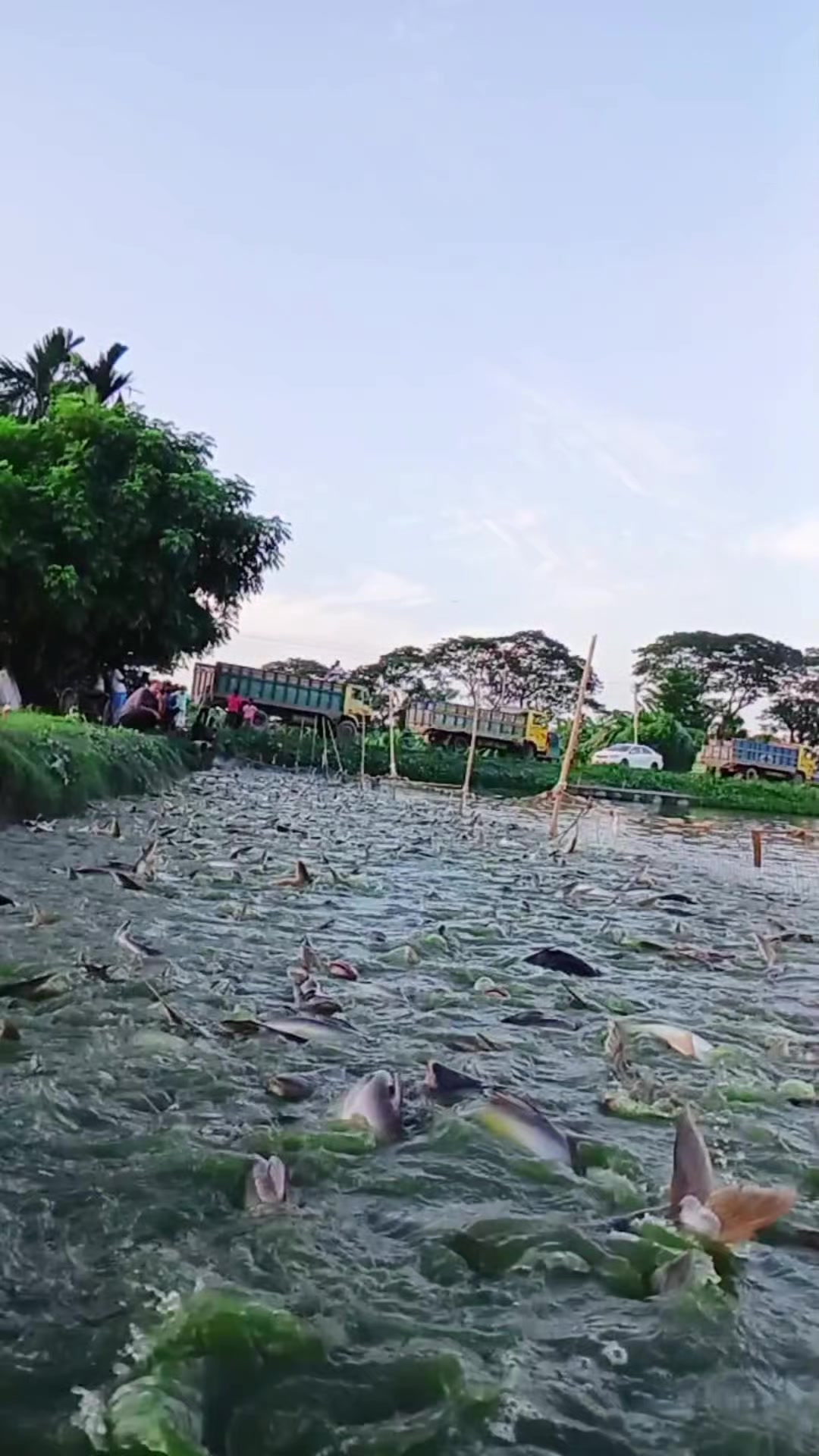 @সুজন মিয়া
