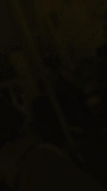 @SYUIBxNAKAL