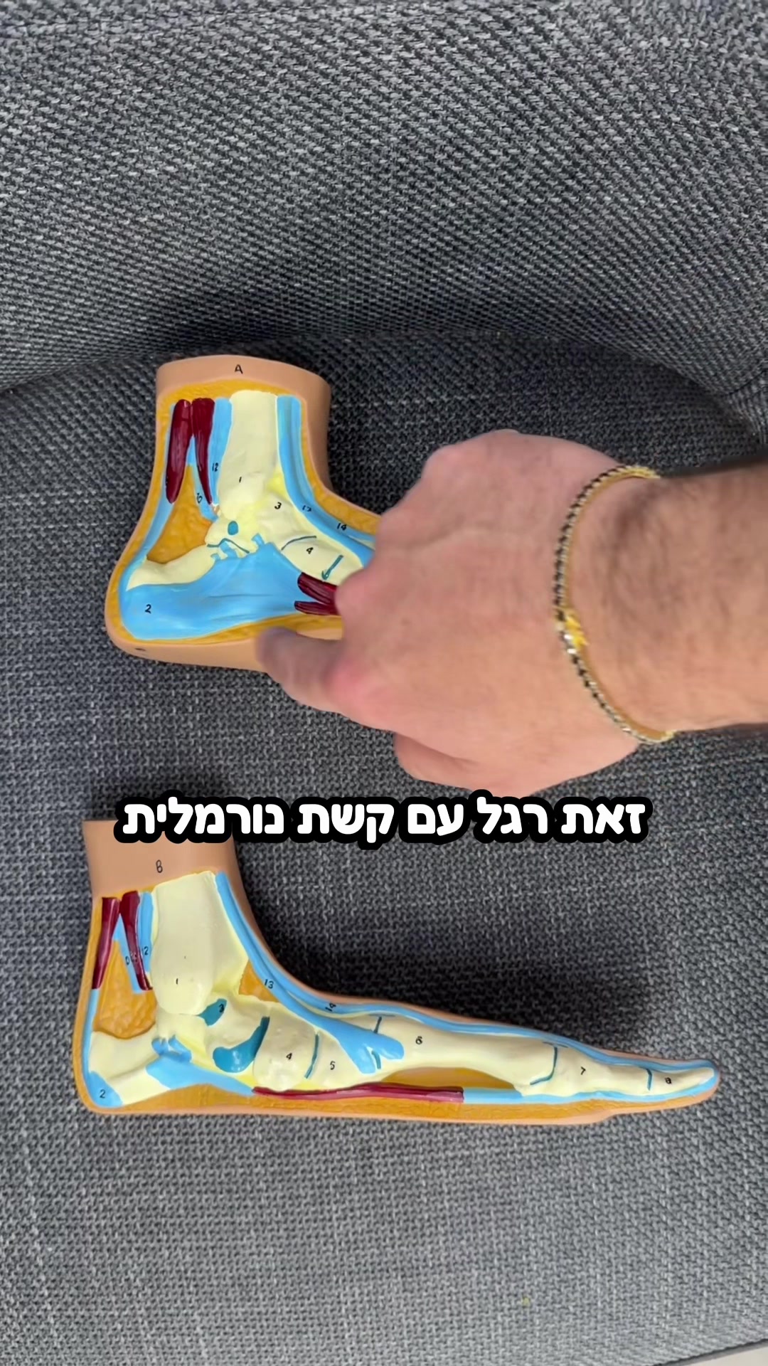 @אורלי אורתופדיה