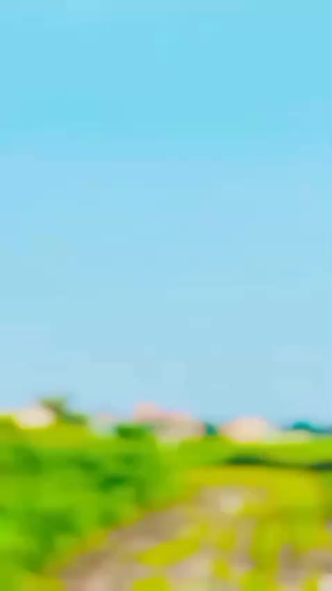 @MALIK ALI