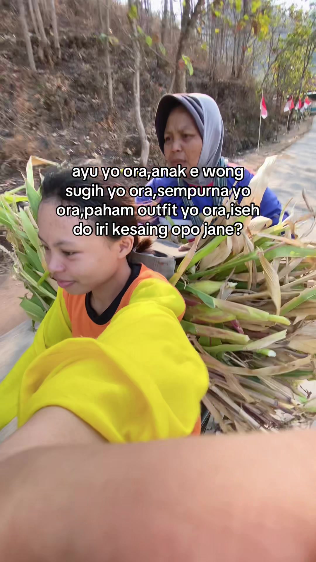 @Wulannn