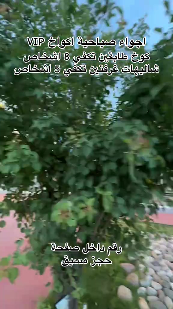 @شاليهات شقلاوة
