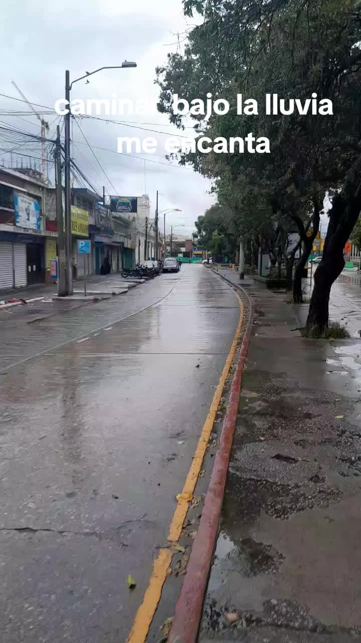 @Fernando Meneses