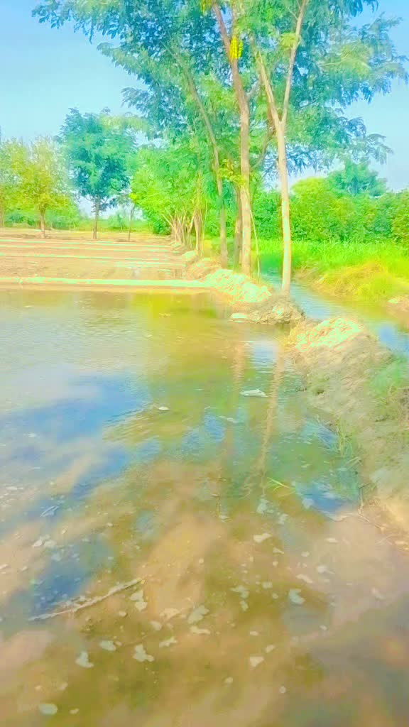 @M.Sohail panwer&hearts;️&hearts;️&hearts;️