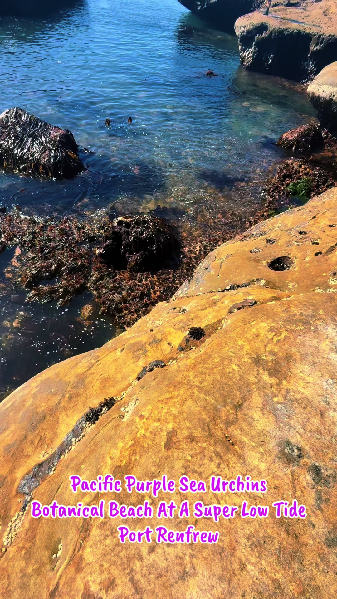 @Vancouver Island BC Canada