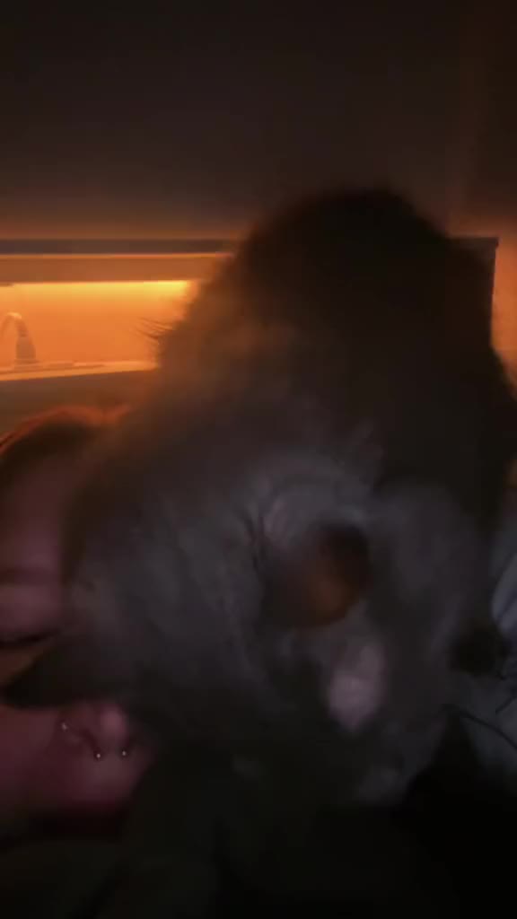 @&hellip;
