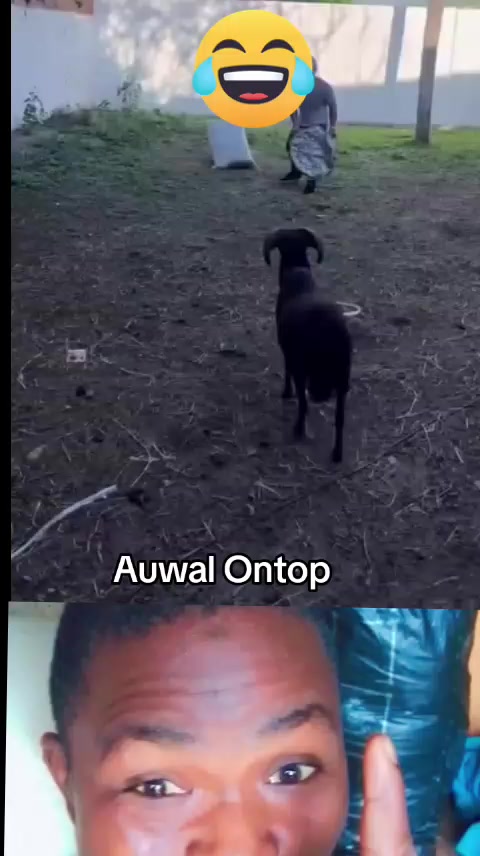 @Auwal Ontop