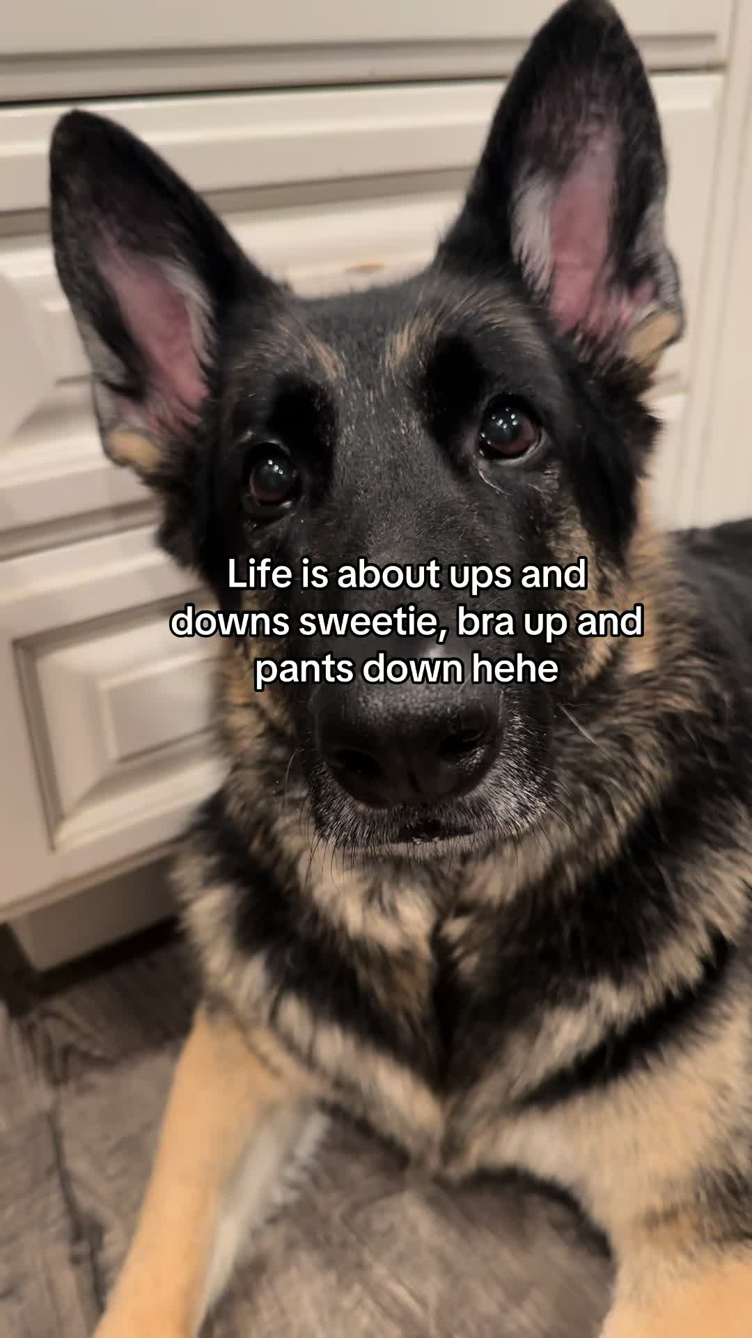 @Bhris