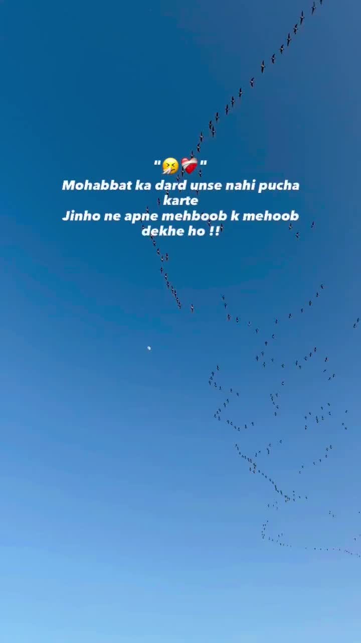 @아즈하르 𓆩♡𓆪
