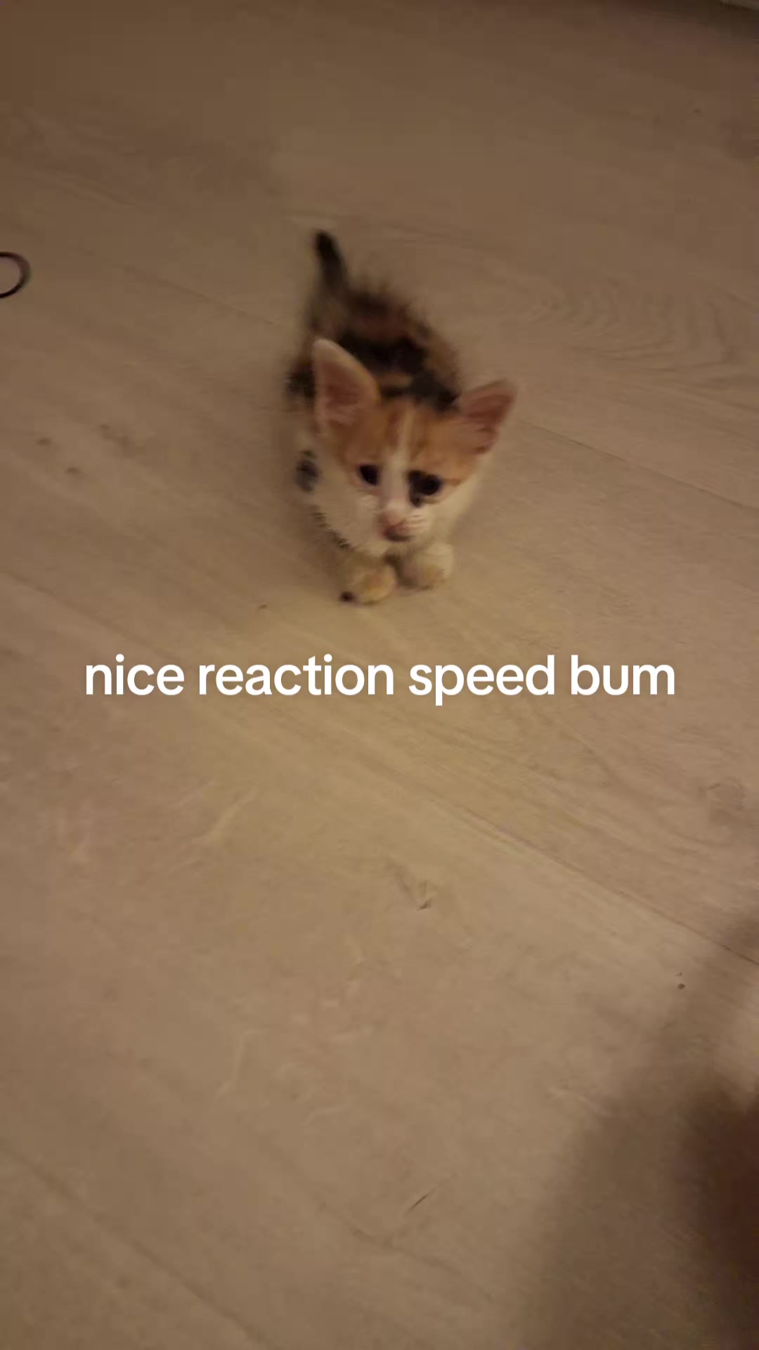 @Samski 냐흠