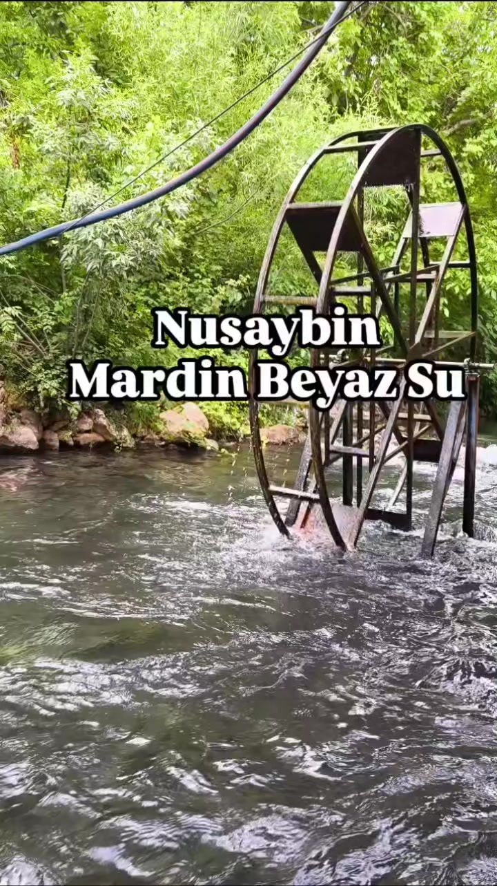 @gulankocbilgic