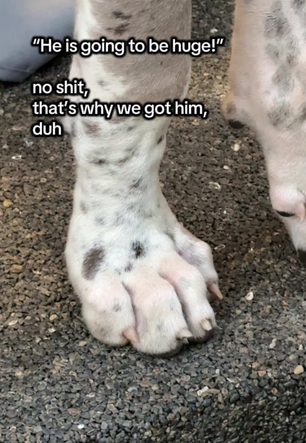 @Milo + Mo